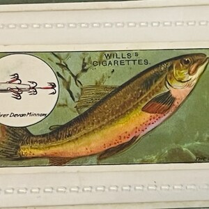 WD HO Wills Cigarettes Tobacco Sammelkarte 1910 Fish & Bait Lure Chat #24 devon