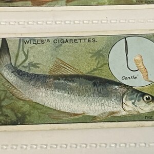 WD HO Wills Sigaretten Tabak Trading Card 1910 Vis Aas Lokken Bleak #23 zacht