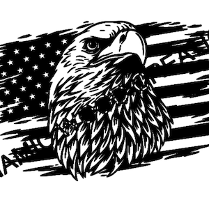鷲の描かれたアメリカ国旗 ハクトウワシ USA