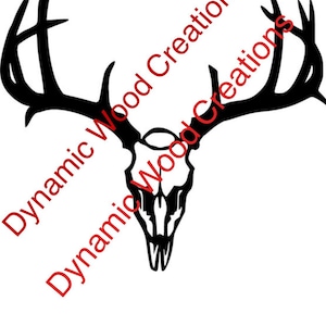 Deer Skull with Antlers