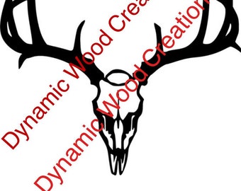 Deer Skull with Antlers