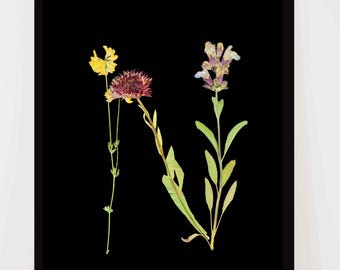 Letter N Floral Print: Pressed Flower Alphabet Wall Art