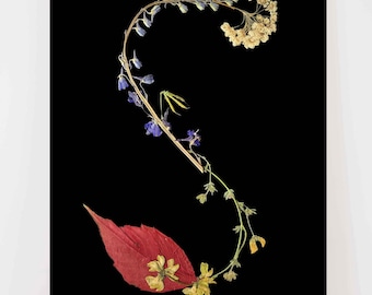 Letter S Pressed Flower Monogram: Botanical Alphabet Wall Art