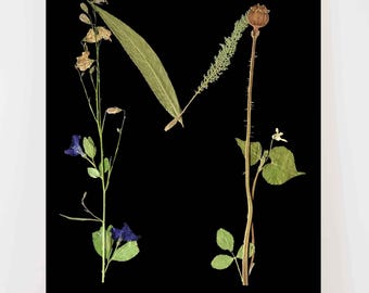Letter M Pressed Flower Art Print: Botanical Monogram Wall Decor