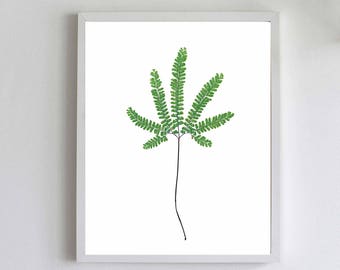 Maidenhair Fern Print Giclee 8X10 or 11X14 - Botanical Art - Eco Decor - Fern Wall Art - Herbarium Art Print - Pressed Fern - California Art