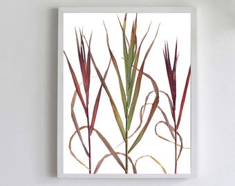 Grass Artwork - Wild Grass Leaves on White Background - Fall Autumn Botanical Print - Winter Wall Art