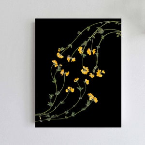 Peut inclure: Une photographie en noir et blanc de fleurs jaunes sur fond noir. Les fleurs sont dispos&eacute;es en ligne courbe, cr&eacute;ant une forme fluide et organique.