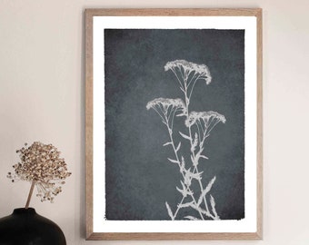 Yarrow Flower Print: Gray Botanical Silhouette Wall Art