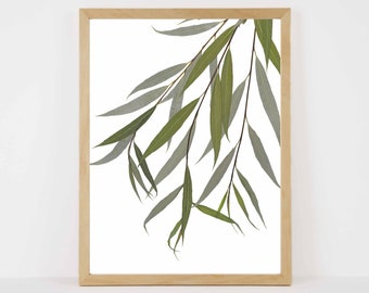 Willow Print - Weeping Willow Tree - Tree Leaves Print - Tree Art - Willow Wall Art - Forest Decor - 5X7, 8X10, 11X14 or 16X20