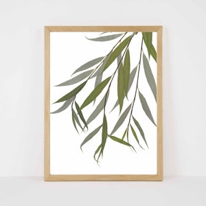 Willow Print - Weeping Willow Tree - Tree Leaves Print - Tree Art - Willow Wall Art - Forest Decor - 5X7, 8X10, 11X14 or 16X20