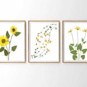 Puede incluir: Tres impresiones enmarcadas de flores prensadas. La primera impresi&oacute;n presenta dos girasoles amarillos. La segunda impresi&oacute;n presenta una vid de peque&ntilde;as flores amarillas. La tercera impresi&oacute;n presenta tres flores amarillas con hojas verdes.