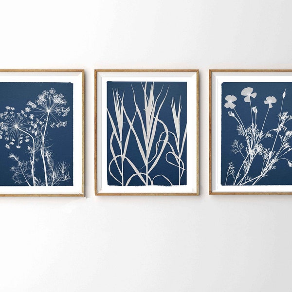 Set of 3 Cyanotype Botanical Prints - California Poppy, Dill Flowers, and Bromus Grass - Blue and White Fine Art Prints