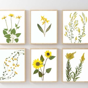 May include: Set of six framed botanical prints featuring pressed yellow flowers and greenery. The prints are arranged in a grid pattern on a white wall.