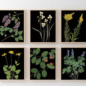 Black Botanical Prints Set: Pressed Flower Wall Art