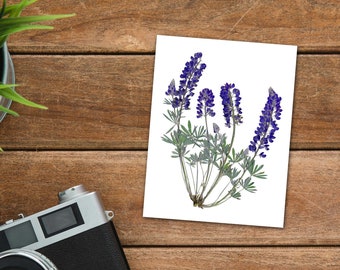 Lupine Bluebonnet Note Card - Pressed Flower Botanical Greeting Card with Blank Inside - Texas State Flower - Small Gift - Thinking of You