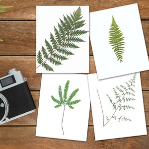 Ensemble de cartes-cadeau Fougères de Californie - Cartes de voeux de fougère pressées vierges à l'intérieur - Carte California Nature - Ensemble cadeau de cartes de correspondance - Cadeau CA