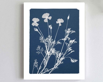 California Poppy Cyanotype Print: Botanical Wall Art