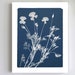 see more listings in the Blue Cyanotype Prints section