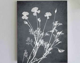 California Poppy Flowers Print - Gray Wall Art - Pressed Flowers Art - California Gifts - Nature Decor