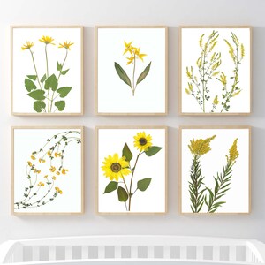 May include: Six framed prints of pressed yellow flowers, including sunflowers, clover, and other wildflowers. The prints are arranged in a grid pattern on a white wall.
