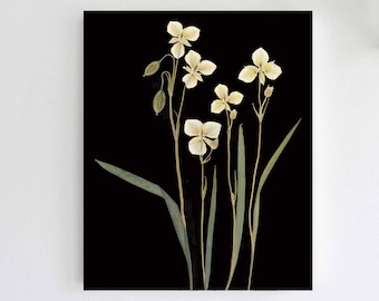 Mariposa Lily Dark Floral Botanical Print - Pressed Lily Flower with Black Background - Unframed Art Print - 5X7, 8X10, 11X14 or 16X20 Sizes