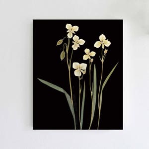 Mariposa Lily Botanical Print: Dark Floral Herbarium Art
