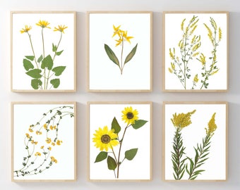 Yellow Flower Print Set of 6 Pressed Flower Botanical Prints - Spring Home Decor - Farmhouse Wall Art Prints 5X7, 8X10 or 11X14