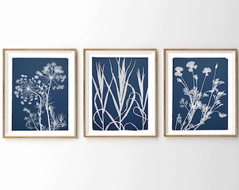 Conjunto de impresiones botánicas estilo cianotipo: Amapola de California, eneldo, hierba bromo
