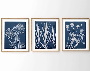 Set of 3 Cyanotype Botanical Prints - California Poppy, Dill Flowers, and Bromus Grass - Blue and White Fine Art Prints