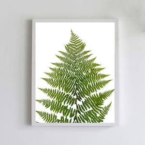 Fern Print Pressed Fern Art Pacific Northwest Decor Botanical Art Print Minimalist Wall Art 5X7, 8X10 or 11X14 Unframed image 1