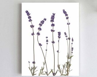 Lavender Print Wall Art - Botanical Print of Pressed Flowers - Lavender Decor - Lavender Gift