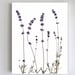 see more listings in the Pressed Flower Prints section
