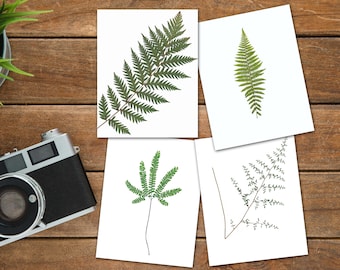 California Ferns Gift Card Set - Fern Greeting Cards - California Nature Card - Gift Set of Notecards - California Gift