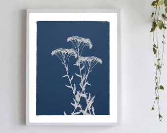 Cyanotype Botanical Print - Pressed Flower on Blue Background - Blue and White Floral Art Print- Yarrow Art Print - Blue Kitchen Wall Art