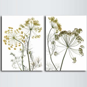 Pressed Flowers Botanical Print Set -  Herbs Wall Art  - Nature Art Decor - Garden Prints