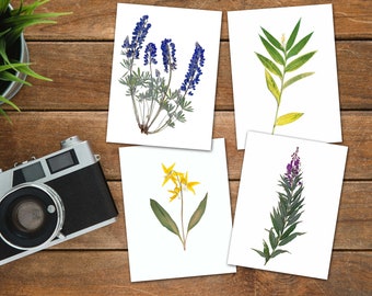 Lot de 4 cartes pour notes Fleurs sauvages du Montana - Cartes fleurs pressées - Cartes de voeux vierges - Idée cadeau fête des Mères - Cadeau pour maman - Cadeau pour enseignant
