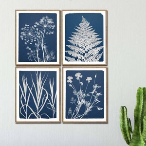 Cyanotype Print Set, Botanical Prints, Flowers Wall Art, Fern Prints, Grass Prints, Forest Art, Natural Home Decor, Blue and White Print Set