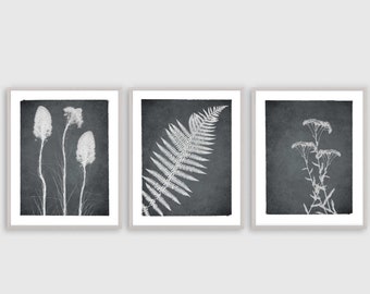 グレーのボタニカルプリントセット：シダと花の自然アート