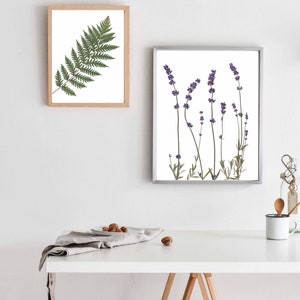 Arte de pared con estampado de lavanda Impresión botánica de flores prensadas Decoración de lavanda Regalo de lavanda imagen 8