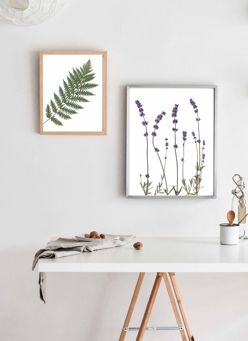 Arte de pared con estampado de lavanda Impresión botánica de flores prensadas Decoración de lavanda Regalo de lavanda imagen 8