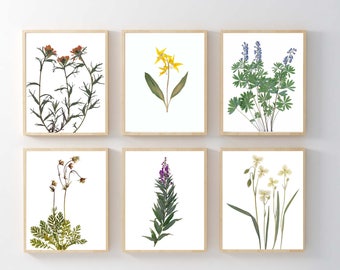 Pressed Mountain Wildflower Prints: Botanical Wall Art Set of 6