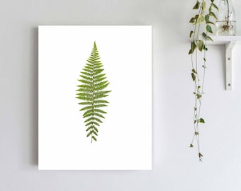 Pressed Lady Fern Print: Botanical Nature Art