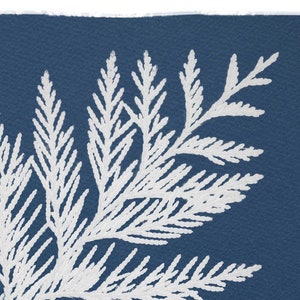 Cedar Tree Cyanotype Print: Botanical Nature Art image 3