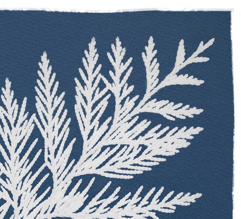Cedar Tree Cyanotype Print: Botanical Nature Art image 3