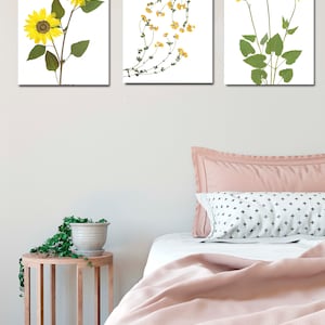 Puede incluir: Tres impresiones enmarcadas de flores prensadas. La primera impresi&oacute;n presenta un solo tallo de girasoles con p&eacute;talos amarillos y hojas verdes. La segunda impresi&oacute;n presenta una vid de peque&ntilde;as flores amarillas con hojas verdes. La tercera impresi&oacute;n presenta un solo tallo de flores amarillas con hojas verdes.