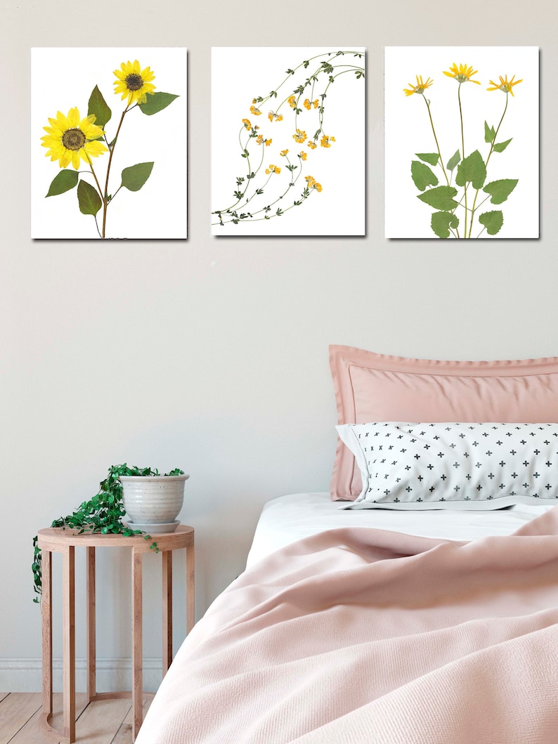 Puede incluir: Tres impresiones enmarcadas de flores prensadas. La primera impresi&oacute;n presenta un solo tallo de girasoles con p&eacute;talos amarillos y hojas verdes. La segunda impresi&oacute;n presenta una vid de peque&ntilde;as flores amarillas con hojas verdes. La tercera impresi&oacute;n presenta un solo tallo de flores amarillas con hojas verdes.