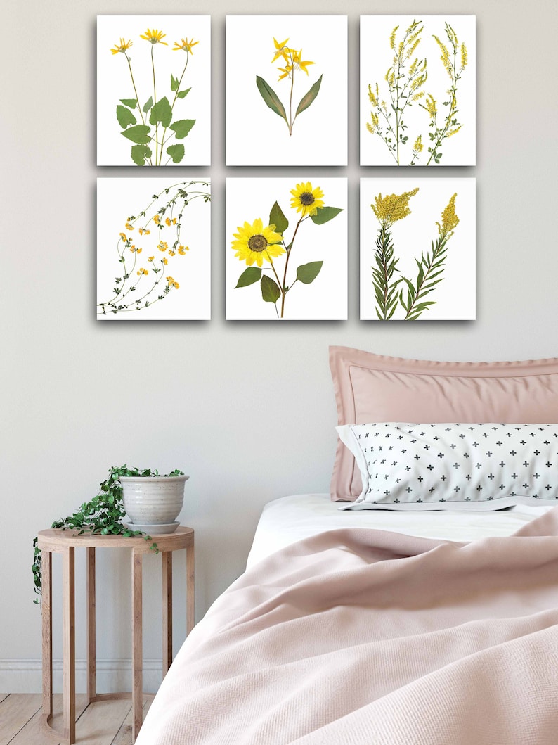 May include: Set of six framed botanical prints featuring pressed yellow flowers and greenery on a white background. The prints are arranged in a grid pattern on a white wall above a bed with pink bedding.