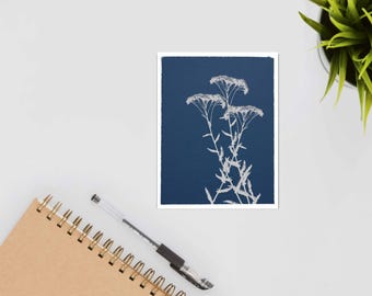Tarjeta botánica con flores de milenrama - Tarjeta azul estilo cianotipo
