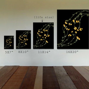 Peut inclure: Quatre tailles diff&eacute;rentes d'une impression encadr&eacute;e de fleurs jaunes sur fond noir. Les tailles sont 5x7 pouces, 8x10 pouces, 11x14 pouces et 16x20 pouces. La plus grande impression est &eacute;tiquet&eacute;e "(taille r&eacute;elle)".