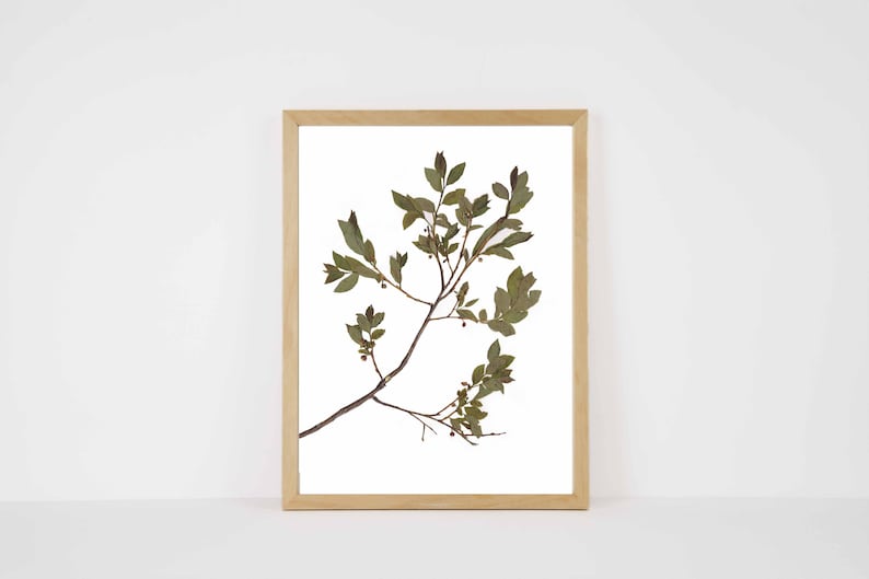May include: A framed botanical print featuring a detailed branch with green leaves and small berries. The artwork is set against a white background, encased in a light brown wooden frame, suitable for home decor.